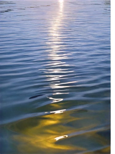 ripples,water surface,reflection of the surface of the water,reflections in water,calm water,calm waters,soluble in water,reflection in water,on the water surface,water reflection,water scape,ripple,waterscape,bay water,water level,shallows,water pollution,soft water,oil in water,the danube delta,Conceptual Art,Oil color,Oil Color 19