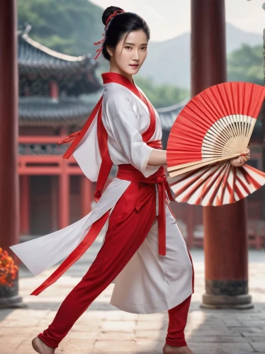 geisha girl,korean culture,geisha,martial arts uniform,asian costume,hanbok,mulan,wushu,japanese martial arts,oriental girl,asian umbrella,oriental princess,taijiquan,asian culture,japanese woman,taiwanese opera,anime japanese clothing,chinese style,taekkyeon,japanese culture,Photography,General,Commercial