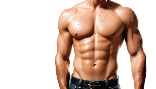 torso,sixpack,male model,shirtless,six-pack,six pack abs,body building,athletic body,bodybuilding supplement,chris evans,fat loss,abdominals,six pack,male poses for drawing,fitnes,png transparent,wet body,abdomen,muscle angle,bodybuilder,Illustration,Realistic Fantasy,Realistic Fantasy 42