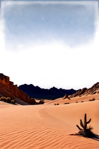 desert background,desert desert landscape,desert landscape,arid landscape,capture desert,desert,desertification,the desert,arid,libyan desert,arid land,desert run,desert plant,sahara desert,argentina desert,stone desert,mojave,desert plants,dune landscape,desert planet,Conceptual Art,Sci-Fi,Sci-Fi 01