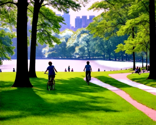 bicycle ride,bicycle path,walk in a park,bike path,central park,bicycling,cyclist,bicycle riding,bike ride,artistic cycling,bicycle lane,cycling,cross-country cycling,bicycle,herman park,biking,bike riding,cross country cycling,urban park,child in park,Illustration,Black and White,Black and White 19