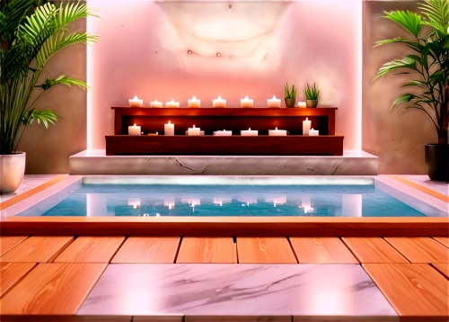 luxury bathroom,spa,spa items,health spa,day spa,hot tub,tropical house,spa water fountain,jacuzzi,day-spa,pool bar,fire place,thermae,landscape design sydney,cabana,fireplaces,floor fountain,landscape designers sydney,luxury home interior,bathtub,Illustration,Japanese style,Japanese Style 03