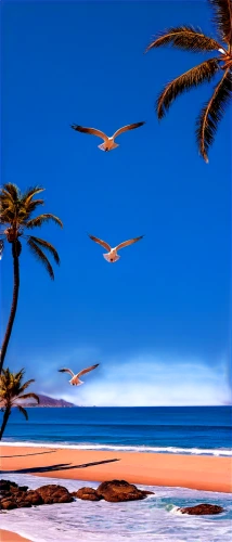 beach landscape,flying sea gulls,gulls,seagulls,sea gulls,canary islands,tropical birds,beach scenery,sea birds,birds in flight,caribbean beach,silver gulls,seagulls flock,tropical beach,bird island,beach background,seabirds,brazilian beach,summer beach umbrellas,dream beach,Conceptual Art,Fantasy,Fantasy 08