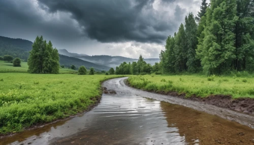 flooded pathway,salt meadow landscape,monsoon,green landscape,green trees with water,rice field,landscape background,landscape photography,rice fields,background view nature,the rice field,rain field,carpathians,nature landscape,paddy field,rural landscape,floodplain,landscape nature,natural landscape,ricefield,Photography,General,Realistic