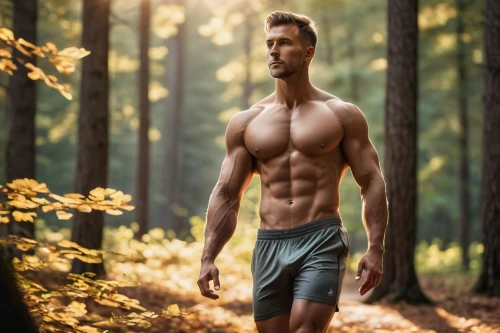 male model,nature and man,forest man,jogger,forest background,bodybuilding supplement,farmer in the woods,athletic body,trail running,temperate coniferous forest,trail searcher munich,forest walk,in the forest,fitness model,tarzan,woodsman,danila bagrov,coniferous forest,ultramarathon,hiker,Illustration,Black and White,Black and White 32