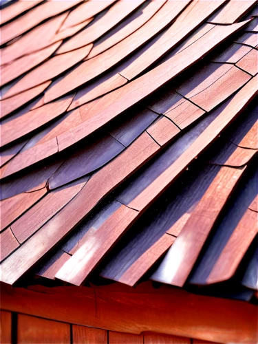 roof tiles,roof tile,tiled roof,slate roof,roof panels,roofline,roof plate,roofing,metal roof,house roofs,wooden roof,clay tile,roofing work,roof landscape,house roof,dormer window,roofing nails,shingles,folding roof,turf roof,Illustration,American Style,American Style 09
