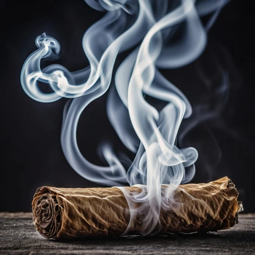 smoking cessation,smoke background,tobacco,cigar,cigar tobacco,cinnamon sticks,cinnamon stick,cuban cigar,yule log,chinese cinnamon,cigarettes on ashtray,smoke dancer,rolled cigarettes,abstract smoke,incenses,puffs of smoke,smoke art,smudge stick,cigars,smoking cigar,Photography,General,Realistic