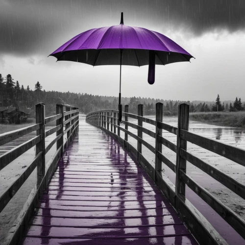 purple,purple rain,purple wallpaper,purple background,purple landscape,purple frame,the purple-and-white,rich purple,purple and pink,pink-purple,purple rizantém,purple-white,light purple,purpleabstract,wall,dark purple,purple pageantry winds,no purple,monsoon banner,violet colour,Photography,General,Realistic