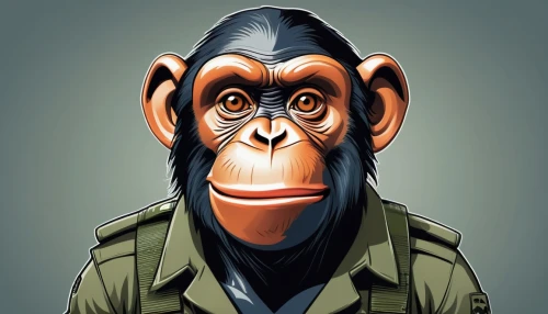 monkey soldier,chimpanzee,chimp,war monkey,common chimpanzee,ape,monkey,orangutan,military person,the monkey,brigadier,primate,baboon,barbary monkey,great apes,vector illustration,macaque,gorilla,game illustration,twitch icon