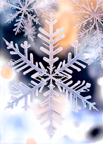 snowflake background,winter background,christmas snowflake banner,christmas snowy background,snow scene,christmasbackground,snow flake,white snowflake,snow tree,weather icon,blue snowflake,snowflake,ice crystal,christmas tree pattern,christmas motif,christmas background,snow in pine tree,snow drawing,snowflakes,fir tree decorations,Conceptual Art,Oil color,Oil Color 20