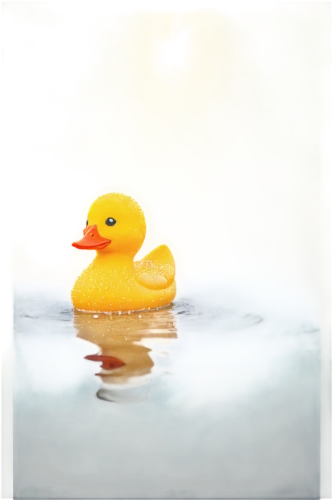 bath duck,duck on the water,rubber duck,rubber duckie,rubber ducky,bath ducks,duckling,rubber ducks,ducky,bird in bath,red duck,cayuga duck,water fowl,canard,duck cub,aquatic bird,duck,bathing,water bath,calm water,Art,Classical Oil Painting,Classical Oil Painting 22