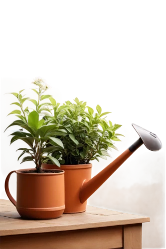 garden shovel,androsace rattling pot,garden tools,watering can,singing bowl massage,tea infuser,two-handled clay pot,singing bowl,garden tool,garden pot,garden pipe,mortar and pestle,incense with stand,tea strainer,flower pot holder,hand shovel,plant pot,potted plant,pot plant,plants in pots,Photography,Documentary Photography,Documentary Photography 12