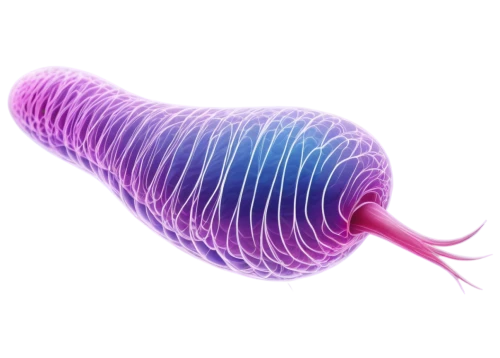 cnidarian,gastropod,flaccid anemone,sea anemone,tubular anemone,parasite,mitochondrion,cnidaria,trochidae,polyp,strozzapreti,marine gastropods,mollusk,gastropods,krill,nematode,larval,trilobite,biological,membrane,Illustration,Realistic Fantasy,Realistic Fantasy 08