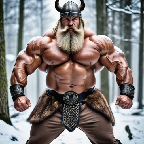 barbarian,viking,norse,bordafjordur,nordic bear,nordic christmas,strongman,dwarf sundheim,warlord,nordic,vikings,god of thunder,nördlinger ries,bodybuilding,muscular build,bodybuilder,minotaur,muscular,dwarf,body building,Photography,General,Realistic