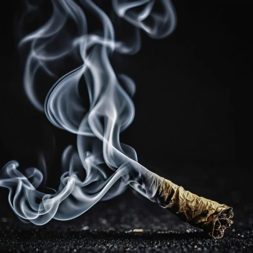 smoking cessation,smoke background,smoke dancer,smoke art,abstract smoke,nonsmoker,tobacco,cigarettes on ashtray,smoke pot,rolled cigarettes,smoke,cigar tobacco,lung cancer,puffs of smoke,joint,incenses,blunt,cigar,tobacco products,cloud of smoke,Photography,General,Realistic