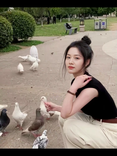 child feeding pigeons,duck meet,nara park,pigeons and doves,i love birds,asian bird,duck females,pato,bird park,ducks,feeding birds,feeding the birds,doves and pigeons,mina bird,duck bird,pigeon goiter,dove eating out of your hand,duck,asian girl,asian woman