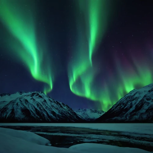 northen lights,norther lights,auroras,the northern lights,northern lights,nothern lights,northern light,aurora borealis,northen light,polar lights,green aurora,northernlight,southern aurora,borealis,aurora,polar aurora,aurora australis,aurora colors,yukon territory,northern norway