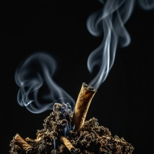 smoking cessation,tobacco,cigar tobacco,cigarettes on ashtray,smoking crater,brown cigarettes,lung cancer,burning cigarette,nonsmoker,smoke background,tobacco products,abstract smoke,cigar,quit smoking,tobacco the last starry sky,smoking ban,tobacco leaves,nicotine,cigarette butts,smoke dancer,Photography,General,Realistic