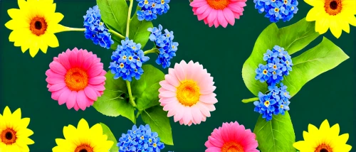 flowers png,flower background,colorful flowers,spring background,blue daisies,blue flowers,bright flowers,floral digital background,floral background,potted flowers,wood daisy background,spring flowers,flower illustrative,african daisies,springtime background,flowers in wheel barrel,flowers in basket,grape hyacinths,flower garland,flower banners,Photography,Documentary Photography,Documentary Photography 34