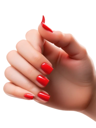 red nails,artificial nails,manicure,nail oil,fingernail polish,nail care,shellac,woman hands,poppy red,salmon red,nail polish,light red,red-hot polka,nail design,red,nails,nail,silk red,bright red,claws,Conceptual Art,Daily,Daily 07