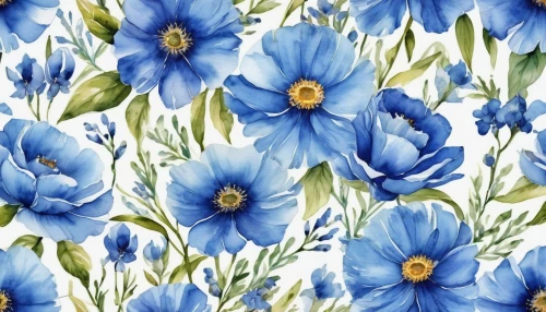 flower fabric,floral digital background,flowers fabric,flowers png,blue daisies,floral background,flower background,himilayan blue poppy,blue flowers,flowers pattern,seamless pattern,flower pattern,background pattern,japanese floral background,anemone blanda,floral pattern paper,wood daisy background,denim background,blue chrysanthemum,delphinium,Photography,General,Realistic