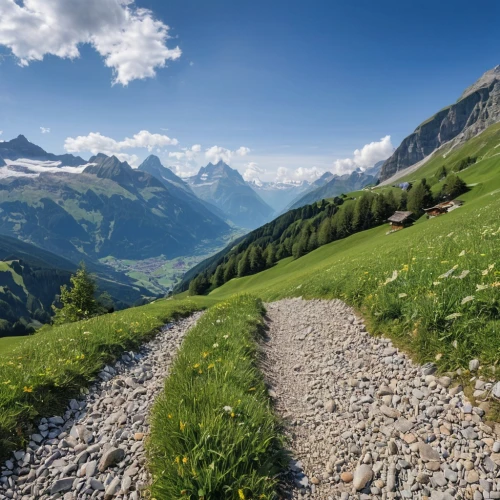 alpine route,canton of glarus,hiking path,bernese alps,high alps,alpine region,berchtesgaden national park,southeast switzerland,alpine dachsbracke,online path travel,alpine crossing,pathway,bernese oberland,lake lucerne region,swiss alps,eastern switzerland,landscape mountains alps,south-tirol,the alps,alpine pastures,Photography,General,Realistic