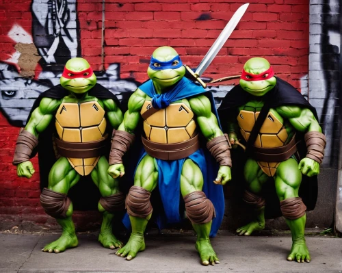 teenage mutant ninja turtles,turtles,trachemys,collectible action figures,stacked turtles,vintage toys,high-visibility clothing,tortoises,trachemys scripta,reptiles,raphael,tortoise,turtle,limb males,clone jesionolistny,fantastic four,comic characters,terrapin,plug-in figures,storm troops,Photography,Documentary Photography,Documentary Photography 32