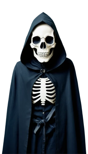skeleltt,skeletal,skeleton,skull bones,vintage skeleton,dance of death,scull,human skeleton,grim reaper,halloween vector character,skeletal structure,png image,vanitas,skeletons,memento mori,haloween,skull allover,skulls and,halloween costume,medical radiography,Illustration,Vector,Vector 14