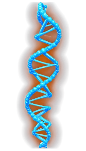 dna helix,dna,dna strand,nucleotide,rna,deoxyribonucleic acid,genetic code,biosamples icon,the structure of the,isolated product image,double helix,png image,biological,limicoles,trisomy,bio,aa,pcr test,cell structure,mutation,Conceptual Art,Fantasy,Fantasy 34