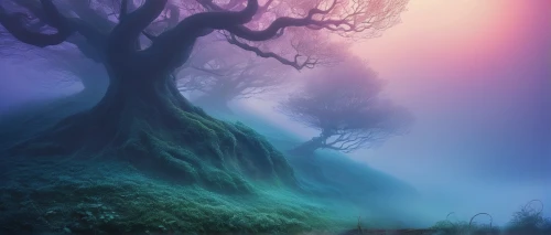 foggy forest,foggy landscape,fantasy landscape,fairy forest,mists over prismatic,isolated tree,colorful tree of life,purple landscape,magic tree,elven forest,veil fog,watercolor tree,forest tree,australian mist,fairytale forest,enchanted forest,foggy mountain,fantasy picture,autumn fog,mist,Illustration,Japanese style,Japanese Style 14