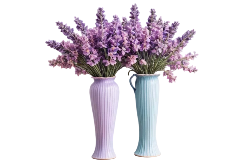 flower vases,lavandula,flowers png,vases,lavender flowers,soprano lilac spoon,lavender bunch,funeral urns,lilac arbor,flower vase,flower pot holder,french lavender,fernleaf lavender,grape hyacinths,egyptian lavender,lavendar,india hyacinth,hyacinths,english lavender,muscari,Illustration,Vector,Vector 11