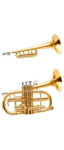 american climbing trumpet,brass instrument,trumpet folyondár,instrument trumpet,euphonium,flugelhorn,saxhorn,climbing trumpet,gold trumpet,trumpet-trumpet,trumpet,trumpet gold,mellophone,vienna horn,types of trombone,woodwind instrument accessory,trumpet valve,wind instruments,tuba,trumpet shaped,Illustration,Black and White,Black and White 26