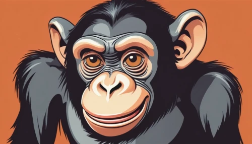 common chimpanzee,chimpanzee,chimp,macaque,ape,primate,baboon,barbary monkey,primates,bonobo,rhesus macaque,monkey,celebes crested macaque,great apes,my clipart,mandrill,siamang,crab-eating macaque,orangutan,gibbon 5