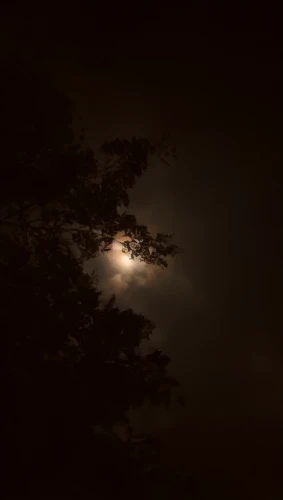 moonlit night,moon in the clouds,moonlit,moon at night,night photograph,moonrise,full moon,night image,moonlight,the moon,moon night,moon photography,big moon,light of night,moonbow,moonshine,super moon,nightscape,jupiter moon,moon