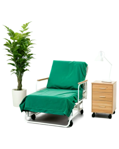 massage table,hospital bed,carboxytherapy,medical equipment,outdoor sofa,treatment room,chaise longue,chiropractic,greenbox,seating furniture,outdoor furniture,danish furniture,cart with products,chaise lounge,beach furniture,sleeper chair,health spa,spa items,physiotherapist,naturopathy,Illustration,Retro,Retro 04