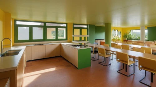 school design,kitchen interior,chefs kitchen,canteen,kitchen design,kitchenette,kitchen block,modern kitchen interior,cafeteria,kitchen,modern kitchen,tile kitchen,chemical laboratory,ginsburgconstruction kitchen 3,big kitchen,vintage kitchen,children's interior,kitchen cabinet,the kitchen,montessori,Photography,General,Realistic