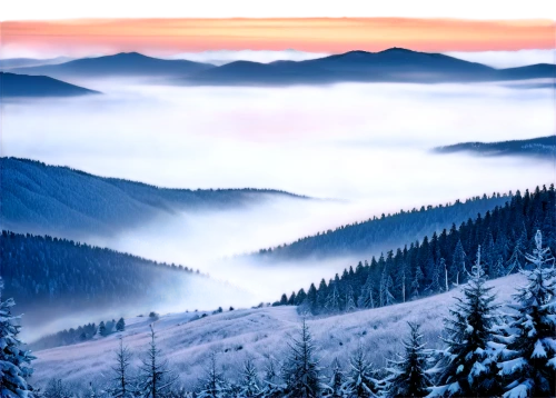 carpathians,northern black forest,snow landscape,foggy landscape,the russian border mountains,winter landscape,snowy landscape,ore mountains,foggy mountain,snowy mountains,winter background,mountainous landscape,sea of clouds,mountain landscape,landscape mountains alps,bavarian forest,snow mountains,above the clouds,landscape background,sea of fog,Photography,Documentary Photography,Documentary Photography 31
