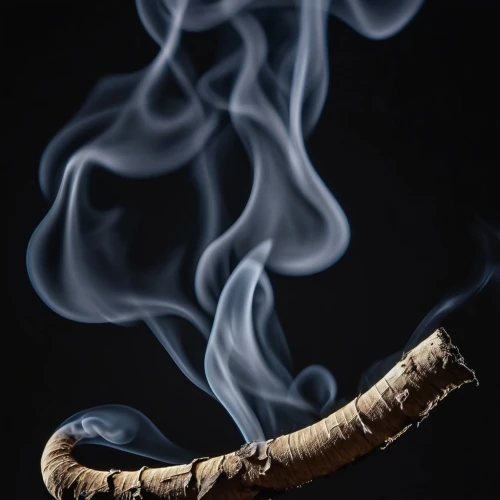 shofar,smoking pipe,smoke background,smoke dancer,smoking cessation,incense stick,a plume of ash,abstract smoke,tobacco,incense burner,tobacco pipe,burning incense,smoke art,joss stick,incenses,incense,cigar,smoke pot,meerschaum pipe,blowpipe,Photography,General,Realistic