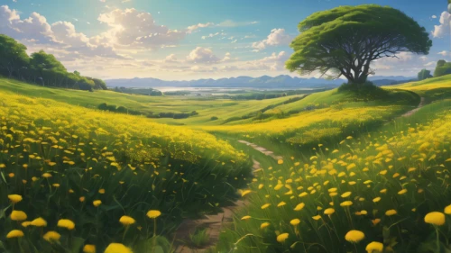 blooming field,dandelion field,meadow landscape,dandelion meadow,daffodil field,yellow grass,landscape background,flower field,meadow in pastel,summer meadow,springtime background,spring meadow,spring background,field of flowers,flowers field,mountain meadow,green meadow,sunflower field,meadow,flowering meadow,Photography,General,Natural