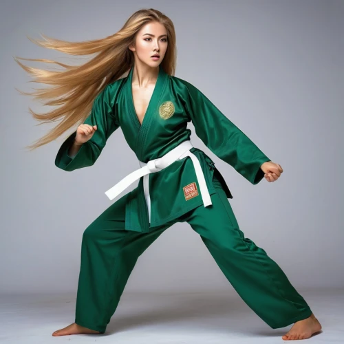 martial arts uniform,taekwondo,karate,martial arts,judo,taekkyeon,amnat charoen,japanese martial arts,dobok,vovinam,hapkido,haidong gumdo,brazilian jiu-jitsu,marine corps martial arts program,jeet kune do,sanshou,jujitsu,shaolin kung fu,sprint woman,shorinji kempo,Illustration,American Style,American Style 07