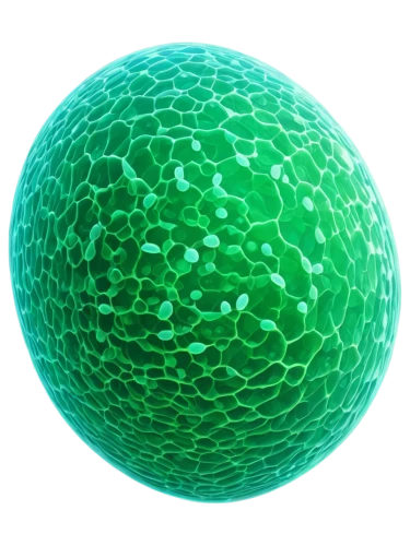 grass golf ball,macrocystis pyrifera,lacrosse ball,egg,cell structure,insect ball,chloroplasts,seamless texture,orb,golf ball,spherical image,muskmelon,green pufferfish,patrol,tennis ball,green bubbles,citrullus,macrocystis,myrciaria,aaa,Art,Classical Oil Painting,Classical Oil Painting 38