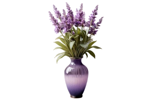 india hyacinth,lavandula,flowers png,egyptian lavender,flower vases,flower vase,graph hyacinth,french lavender,fernleaf lavender,lavendar,funeral urns,english lavender,soprano lilac spoon,lilac arbor,vase,lavander products,grape-hyacinth,hyacinths,glass vase,lilac bouquet,Photography,Artistic Photography,Artistic Photography 02