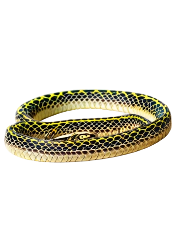 western terrestrial garter snake,ribbon snake,boat rope,garter snake,common garter snake,curved ribbon,plains gartersnake,jute rope,elastic rope,smooth greensnake,alligator clips,fastening rope,hemp rope,woven rope,mooring rope,sharptail snake,green tree snake,reed belt,carpet python,cordage,Illustration,Realistic Fantasy,Realistic Fantasy 45