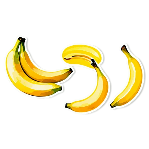 banana,bananas,nanas,banana peel,monkey banana,banana cue,saba banana,dolphin bananas,ripe bananas,banana family,superfruit,fruit icons,fruits icons,dried bananas,svg,png image,banana apple,banana plant,letter c,banana tree,Unique,Design,Sticker