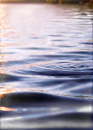water surface,ripples,on the water surface,surface tension,reflection of the surface of the water,water scape,waterscape,pool water surface,reflections in water,water waves,reflection in water,feather on water,water reflection,calm water,single scull,still water splash,ripple,water channel,flowing water,fluid flow,Conceptual Art,Fantasy,Fantasy 02