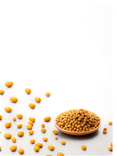 mustard seeds,mustard seed,soybean oil,lentils,fregula,pigeon pea,soybeans,pine nuts,mung bean,soybean,pine nut,bee pollen,cowpea,corn kernels,chickpea,kernels,grains,fenugreek,cereal grain,legume,Illustration,Retro,Retro 25