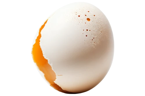 bisected egg,egg,egg shell,cracked egg,chicken egg,painted eggshell,brown egg,eggshell,organic egg,egg yolk,boiled egg,soy egg,a fried egg,large egg,egg sunny side up,quail egg,yolk,egg sunny-side up,hen's egg,egg shell break,Conceptual Art,Sci-Fi,Sci-Fi 05