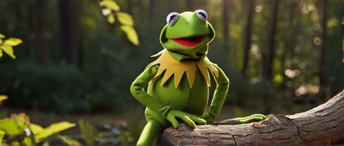 kermit the frog,kermit,frog background,green bird,wallace's flying frog,green frog,green parakeet,yellow green parakeet,bird on branch,caique,nature bird,bird png,barking tree frog,yellowish green parakeet,cute parakeet,rare parakeet,parakeet,beautiful yellow green parakeet,true frog,tiger parakeet,Photography,Fashion Photography,Fashion Photography 16