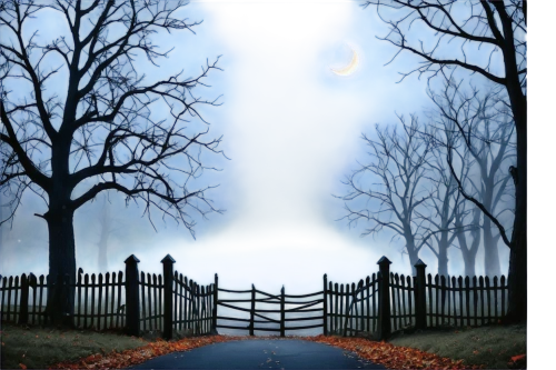 heaven gate,background vector,farm gate,fence gate,iron gate,image manipulation,split-rail fence,wood gate,halloween border,parallel worlds,white picket fence,the mystical path,picket fence,the threshold of the house,halloween background,halloween frame,cartoon video game background,gateway,metal gate,parallel world,Conceptual Art,Daily,Daily 20