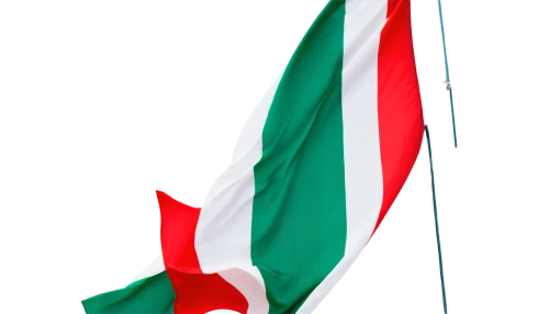bulgaria flag,united arab emirates flag,uae flag,italian flag,flag of uae,sudan,flag of iran,hungary,national flag,greed,italy flag,omani,bulgaria,uae,race flag,hd flag,zambia,country flag,nakuru,kenya,Art,Artistic Painting,Artistic Painting 42